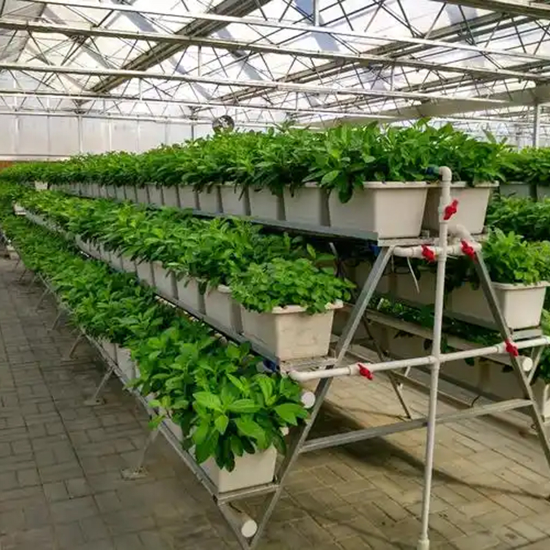 铜仁市植物工厂鱼菜共生 - 厂家