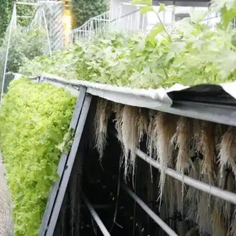铜仁市气雾培种植槽 - 哪里好